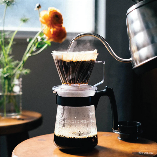 HARIO Pegasus Server 300ML / 600ML