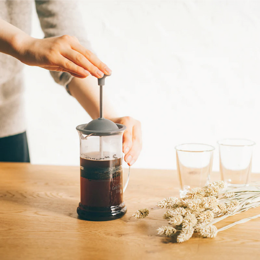 HARIO Café Press Slim S Coffee Maker 240ML (2 Cups)