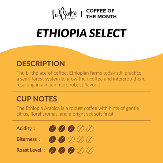 LEBISTRO Coffee of the Month Select Ethiopia Arabica