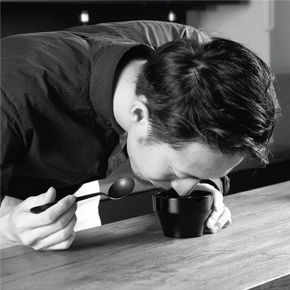 HARIO Cupping Spoon, Kasuya Model